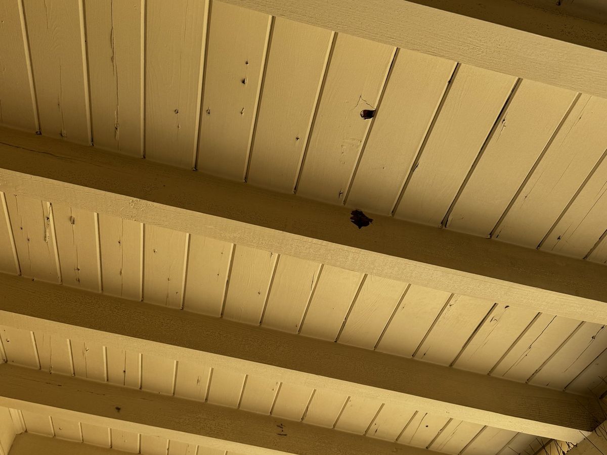 Plank ceiling and beams