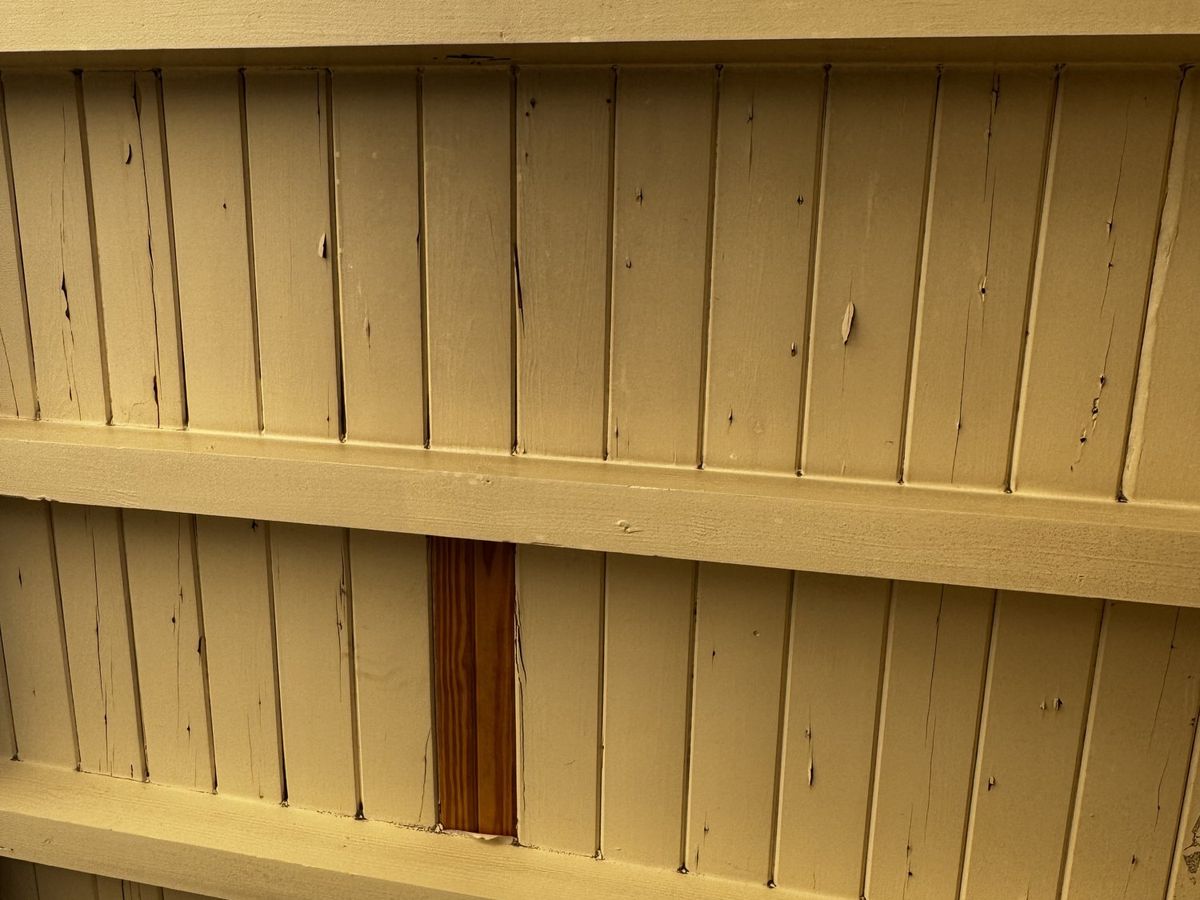 Ceiling and built-in shelving
